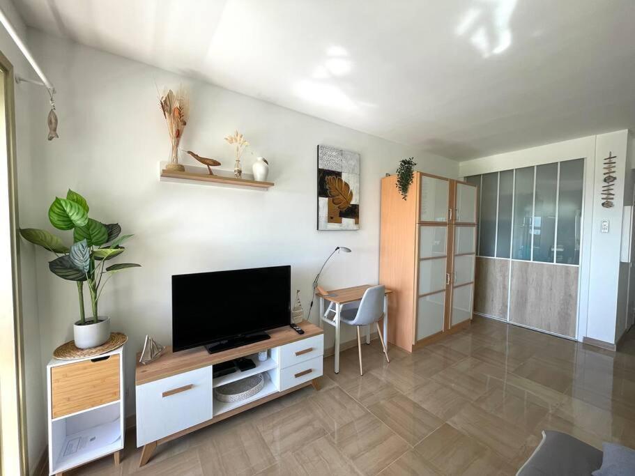 Studio Port Marina - Parking Prive, Climatise Au Ducal Villeneuve-Loubet Buitenkant foto